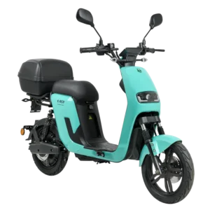 33_GTS_E asy25_Mint_09