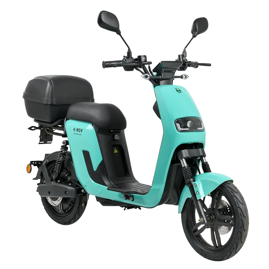 33_GTS_E asy25_Mint_09